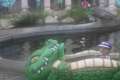 bild111