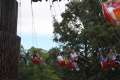 bild98